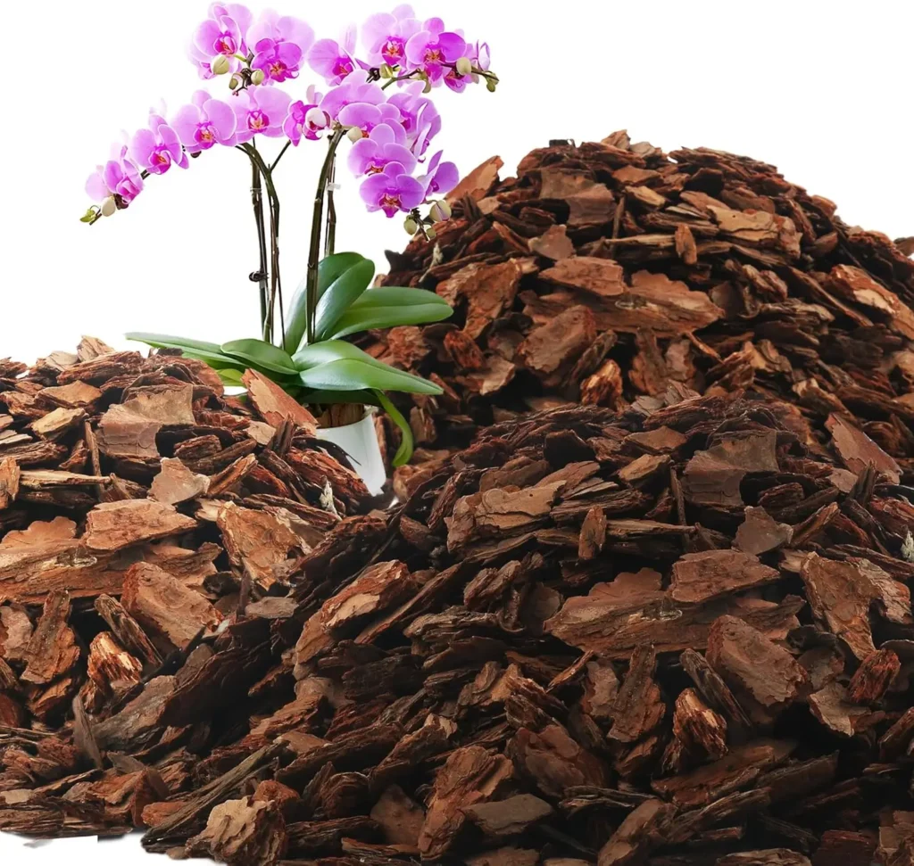 adding mulch helps conserve moisture