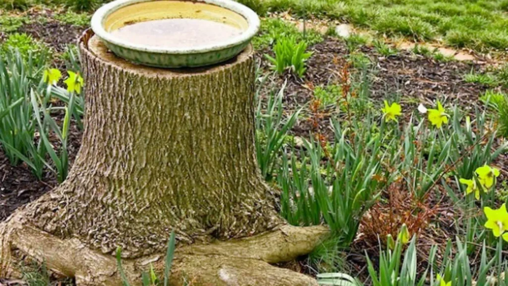 tree stump ideas