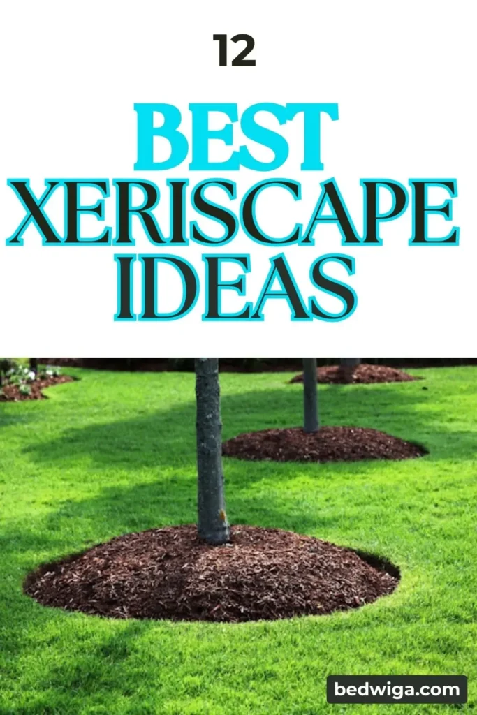xeriscape ideas