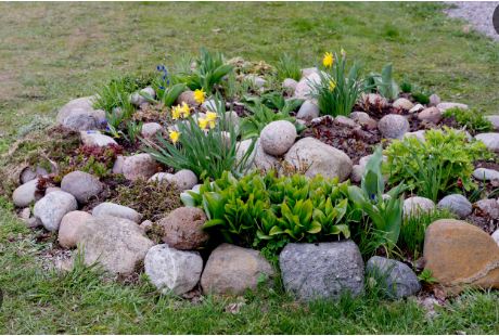 front yard garden ideas with stones and rocks