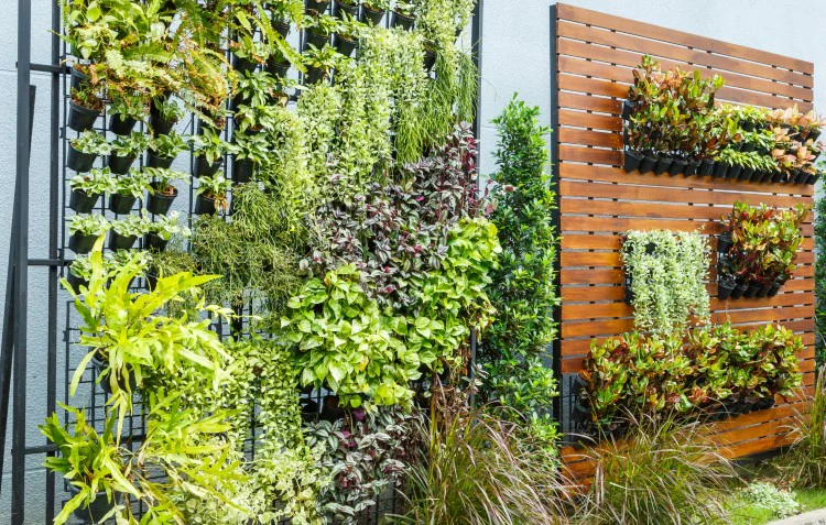 trellis fence with hanging planters for privacy