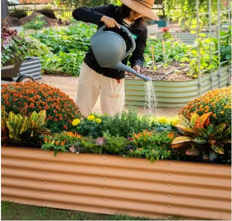 watering a raised garden bed