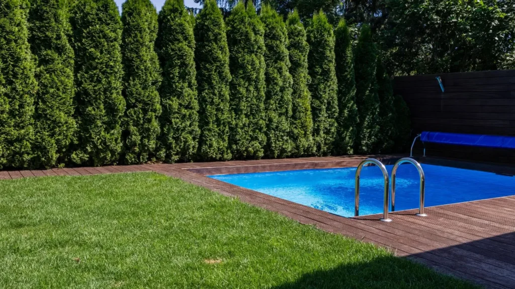 pool privacy fence ideas