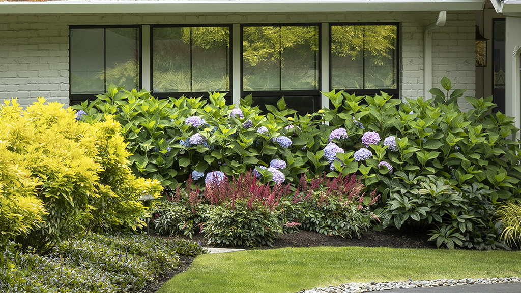 front yard landscaping ideas full sun