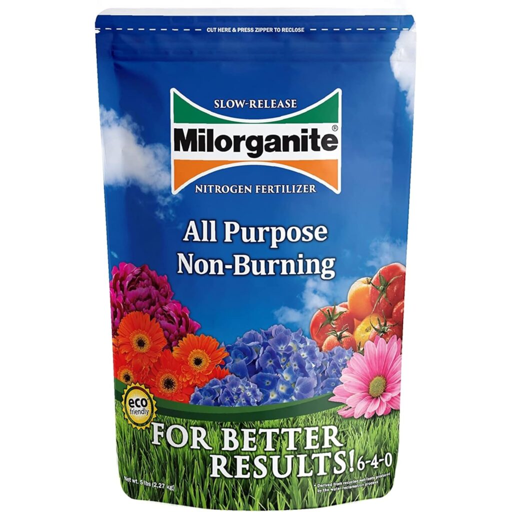 how often should you fertilize your lawn