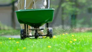 how often should you fertilize your lawn