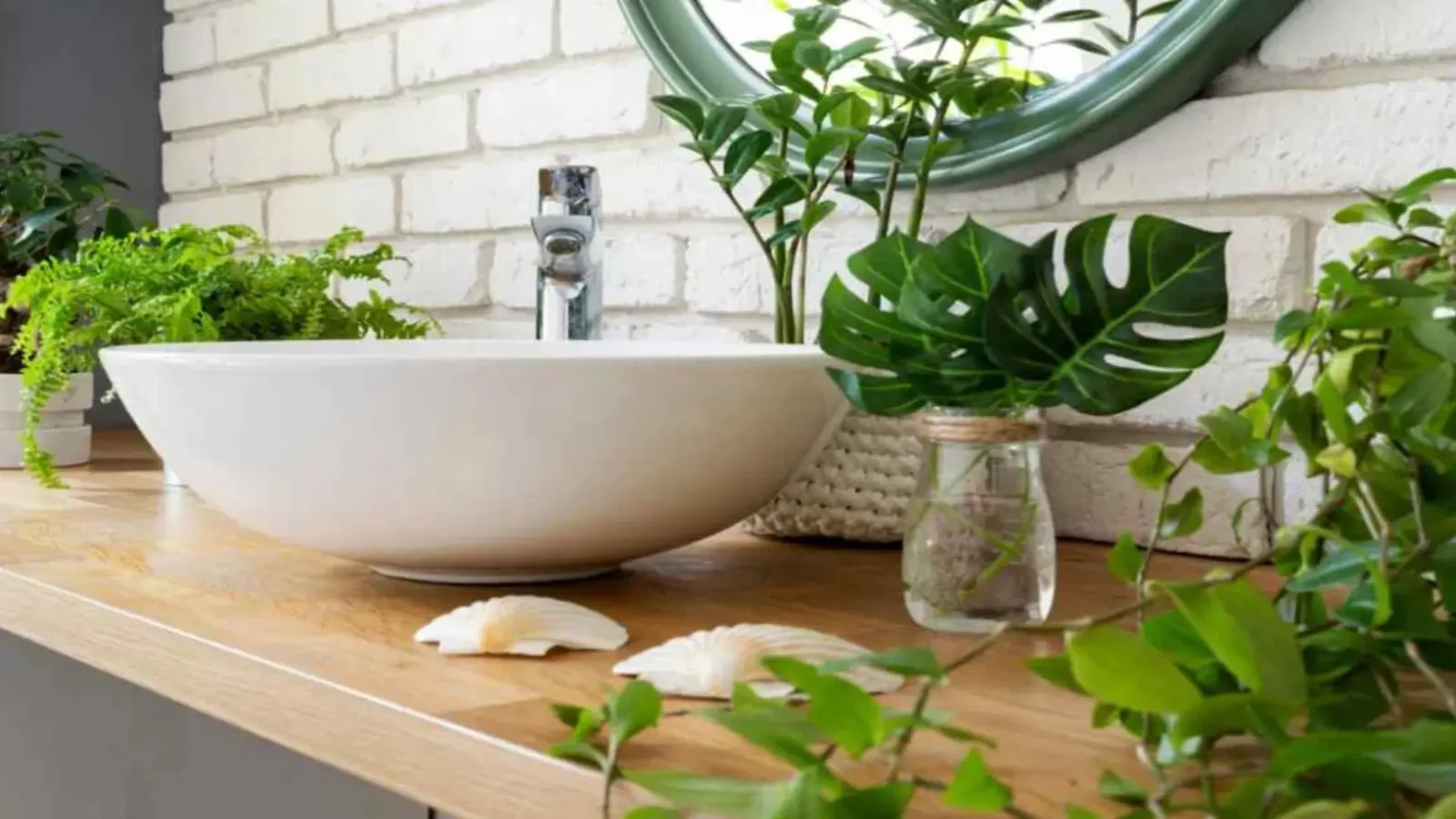 best plants for bathroom