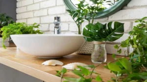 best plants for bathroom