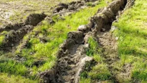 How to Fix Tire Ruts in Lawn