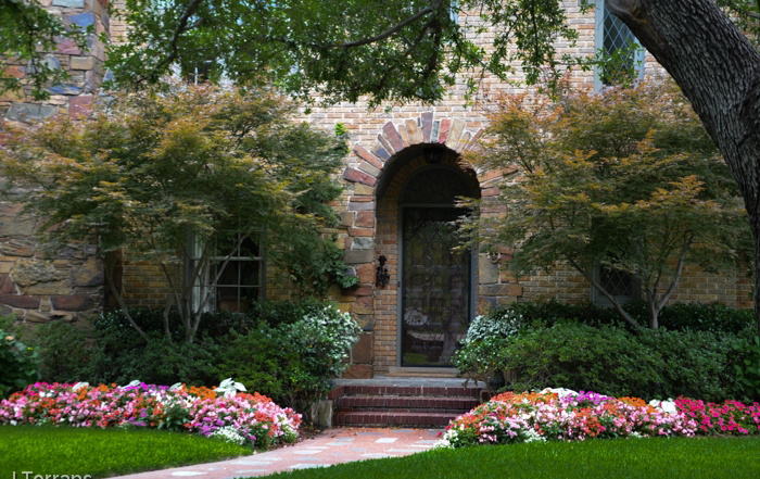 Front yard landscaping ideas 