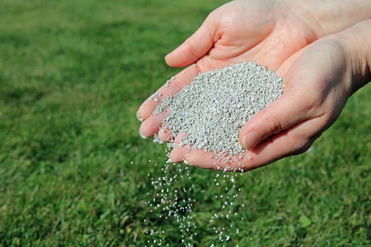 how often should you fertilize your lawn