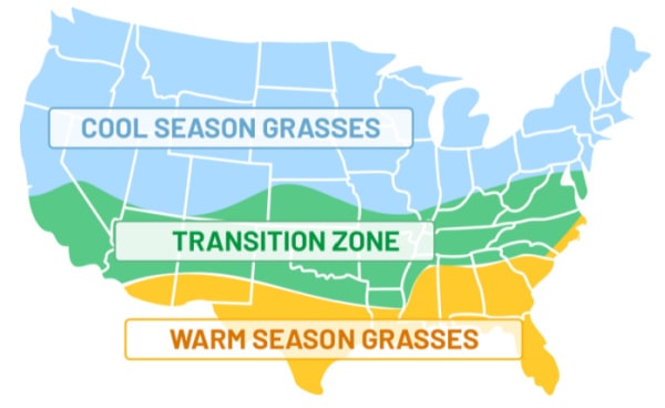how often should you fertilize your lawn