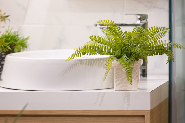 best plants for bathroom