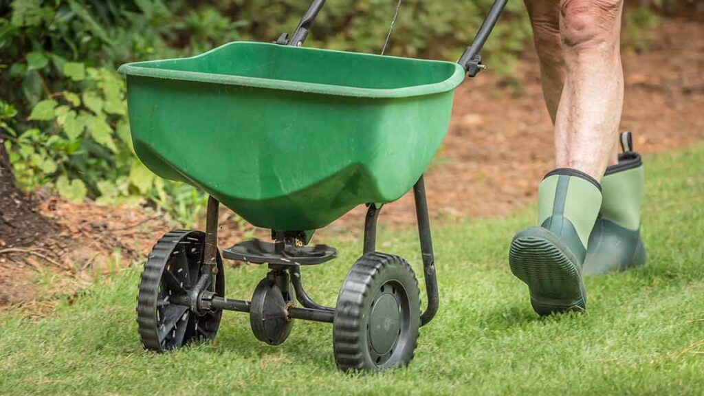 how often should you fertilize your lawn