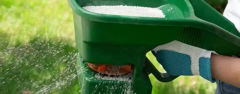 how often should you fertilize your lawn