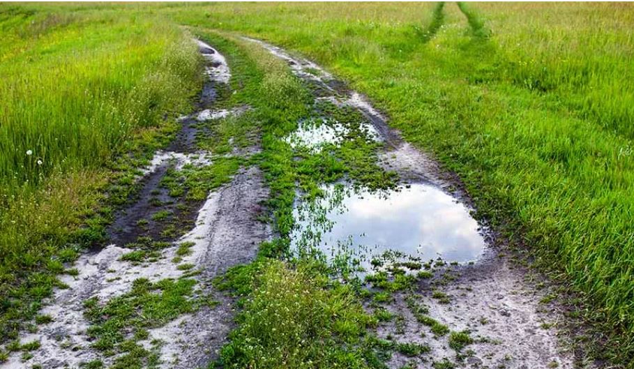 how to fix tire ruts in lawn