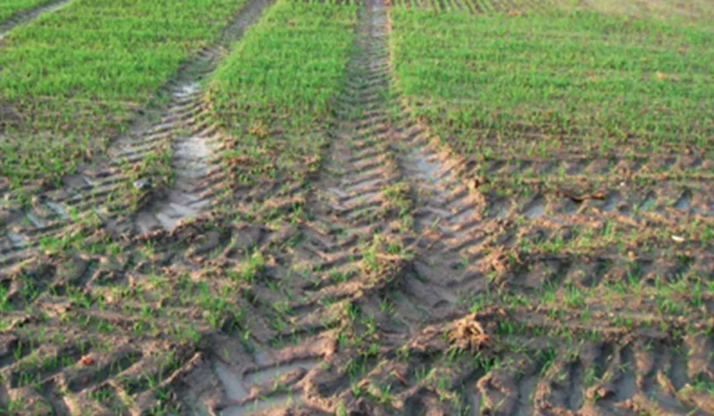 how to fix tire ruts in lawn