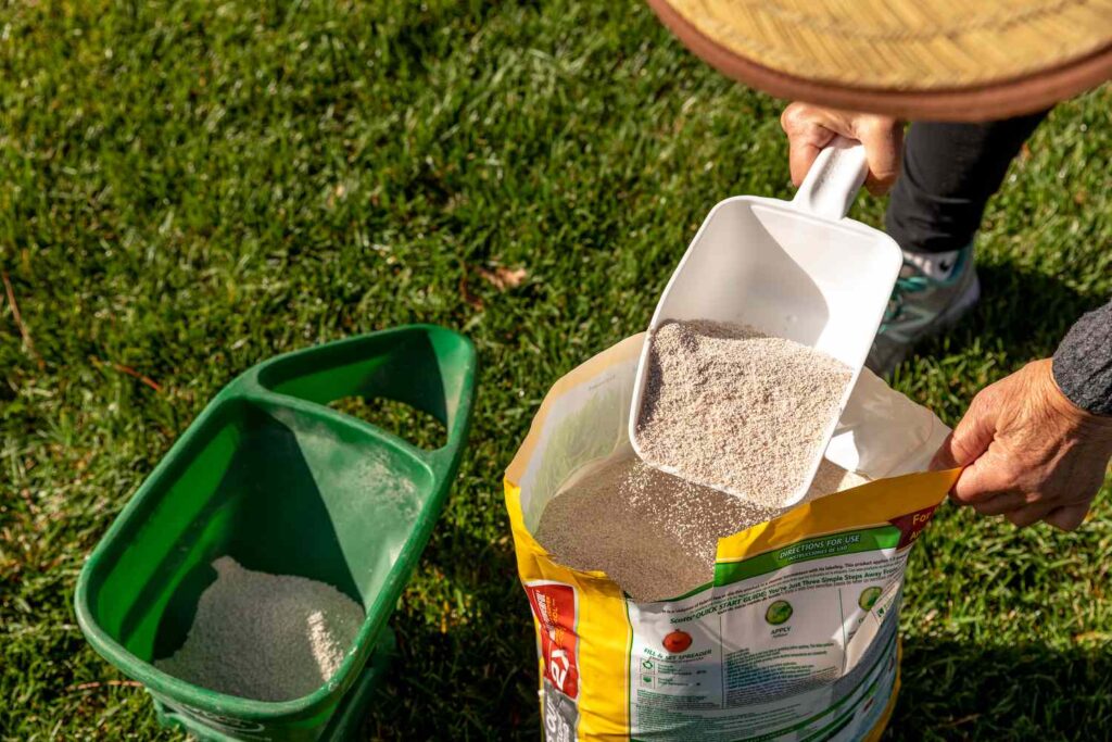 how often should you fertilize your lawn