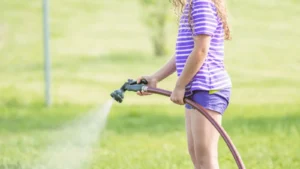 does watering grass in the sun burn it