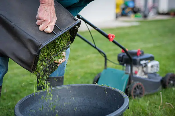 how to get rid of grass burrs in lawn