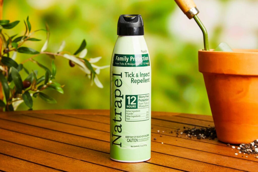 plants that keep bugs away indoors